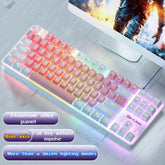 SKYLION H87 Wired Mechanical Keyboard 10 Kinds of Colorful Lighting Gaming and Office for Microsoft Windows and Apple IOS System